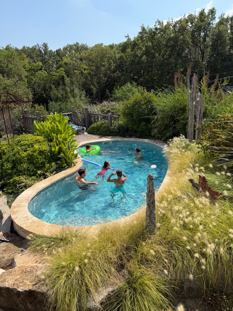Piscine paysagers